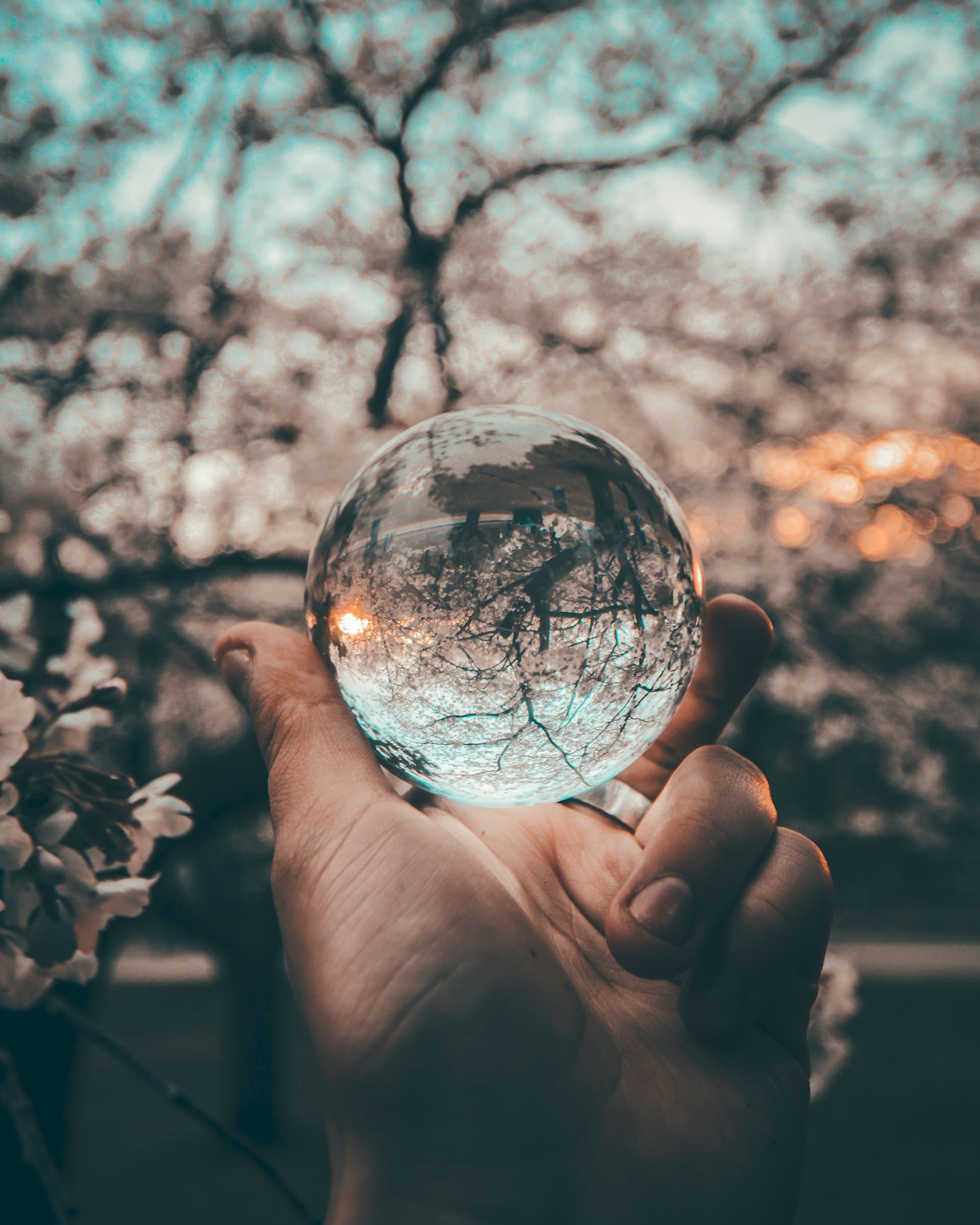 Foto de mano sosteniendo una esfera de cristal.